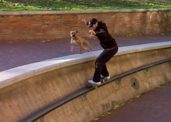 GRONZE parta posílá do světa další super street edit