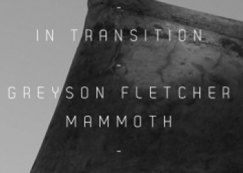 In Transition - Greyson Fletcher