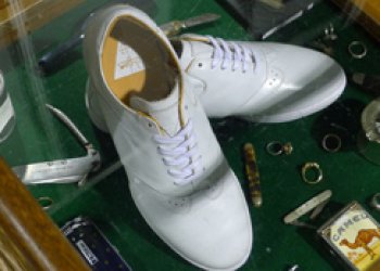 Co chystá skatebording v roce 2014?
