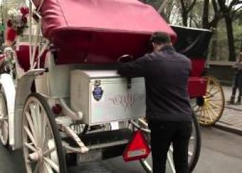 Poflakování s Nestorem Judkinsem po New Yorku