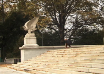 Mishka skates welcomes John Shanahan