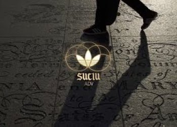 Mark Suciu se konečně dočkal svého PRO modelu u Adidas
