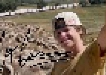 CJ Collins a pouštní šílenství