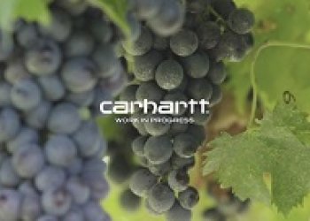 Carhartt vyrazili degustovat italský víno a spoty