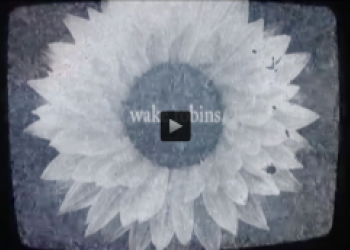 "Wheel of Sharp Weapons" video je streetová pumelice