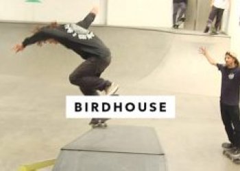 Birdhouse team to nasázel v Transworld parku