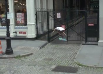 Walker Ryan: ABD NYC