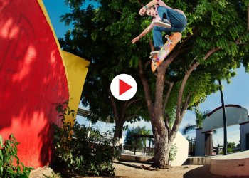 Extra Flare: Sebo Walker