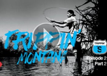 Trippin' se Skateboard Magem