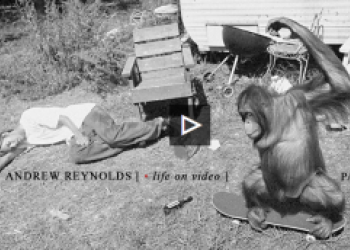 Andrew Reynolds "Life on Video" part 2