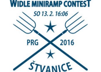 Widle Miniramp Contest