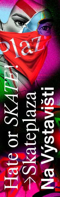 https://navystavisti.cz/sport/skateplaza/